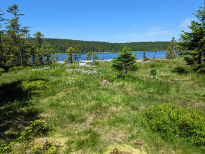 Ilustrační foto: Jizerské hory